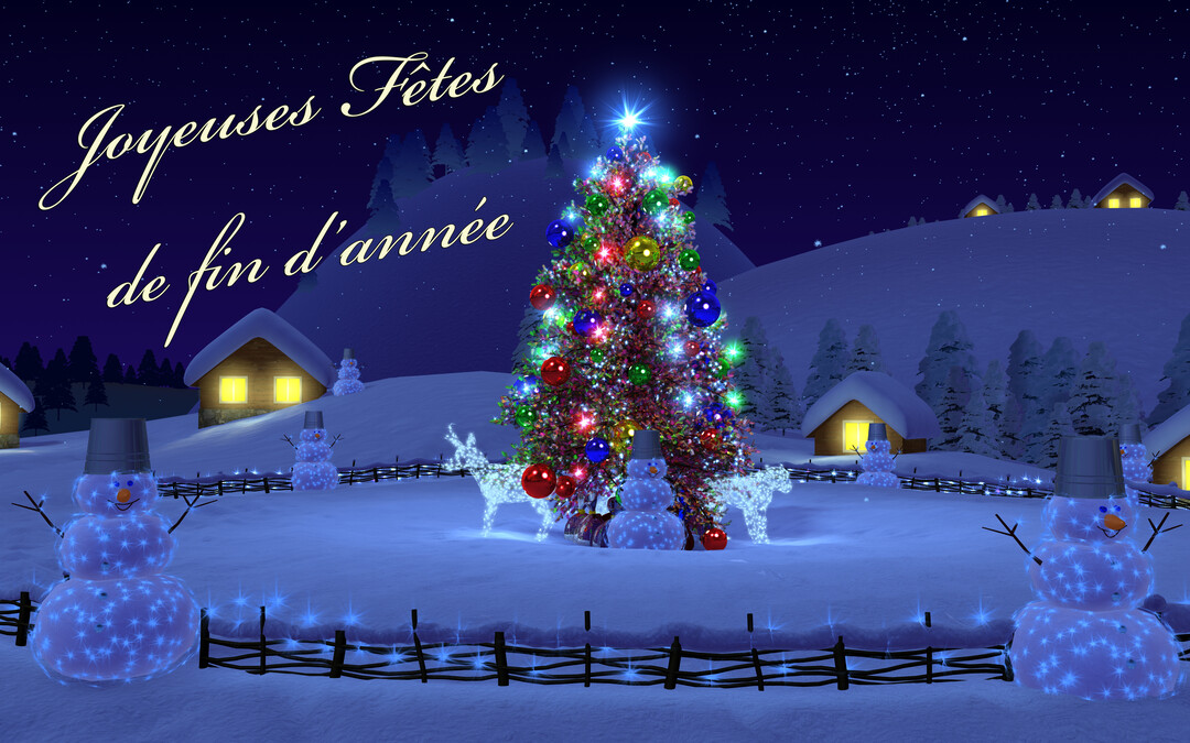Le froid, la neige !